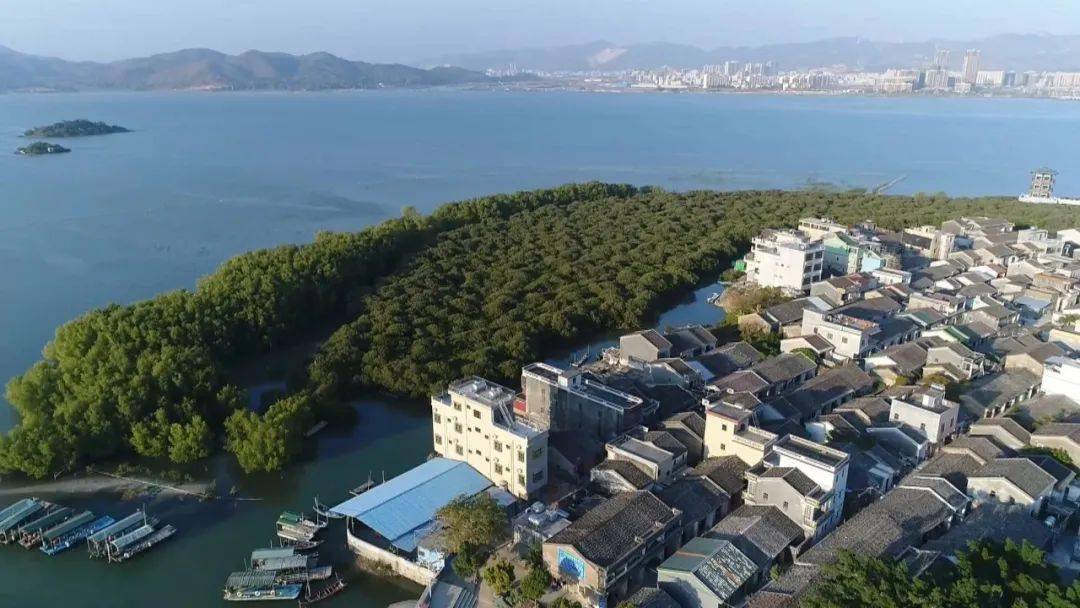 铁涌镇多措并举筑牢考洲洋生态保护网