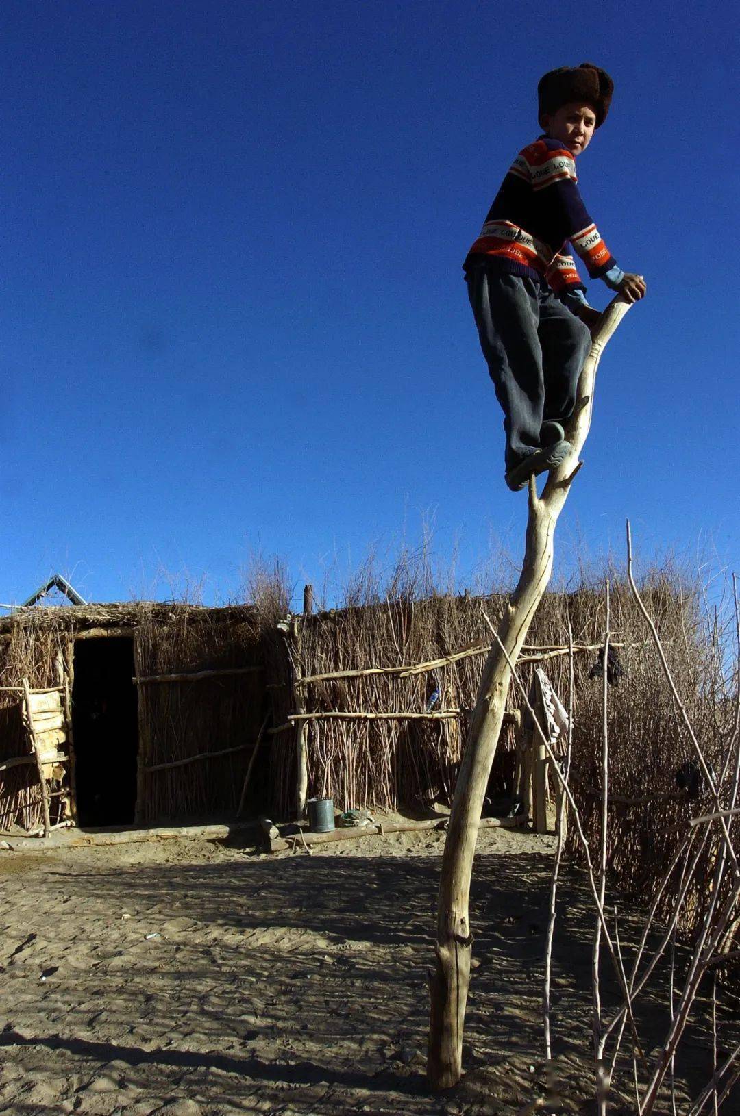 云游中国丨达里雅布依:大漠深处有人家