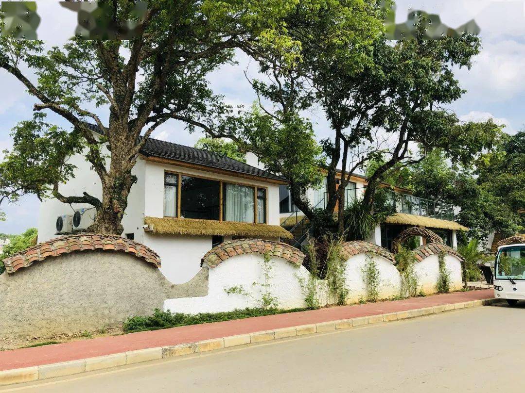 卜花民宿,诗意栖居山水间_崇左
