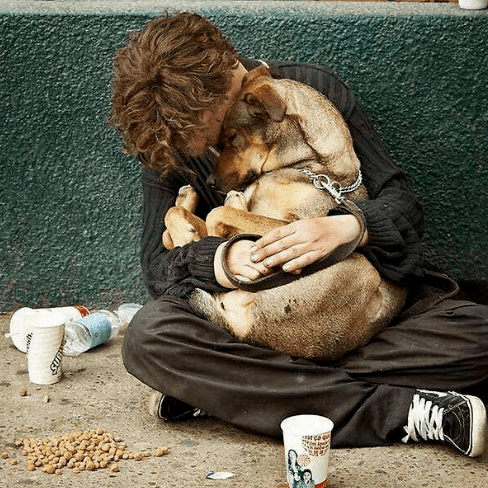 养狗的意义是什么这是我听过最好的答案