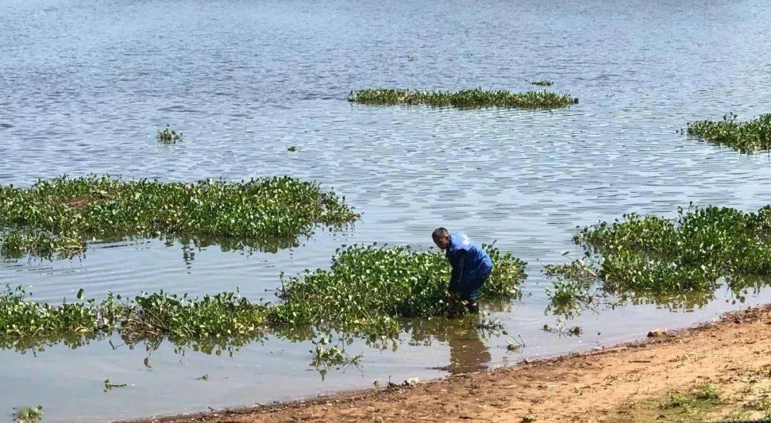 今日上高67蒋凌鹤到上甘山林场调研