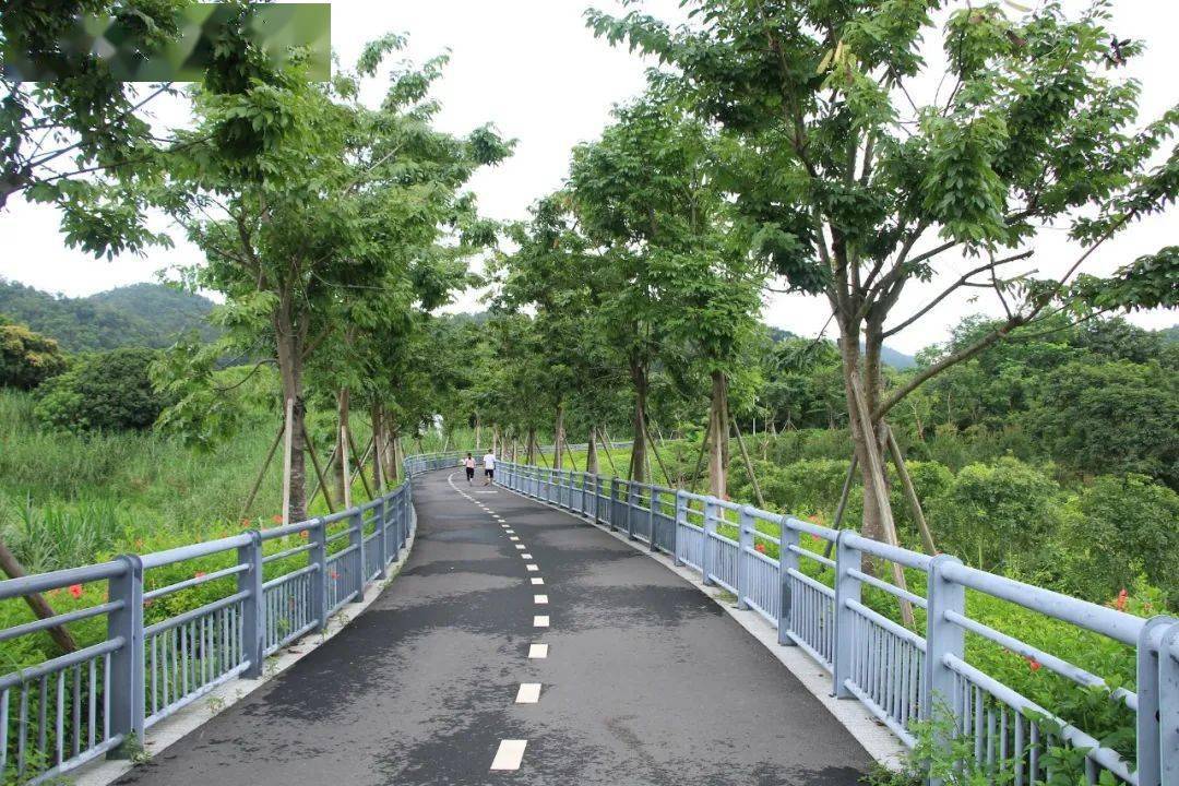 【醉美中山】2020.10.24"碧水青山"18公里徒步挑战,天然山野 休闲绿道