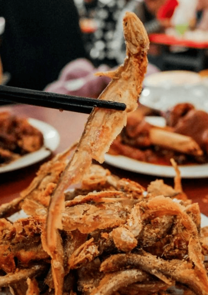 天津这10家"破烂"的狗食馆,都还在呢!