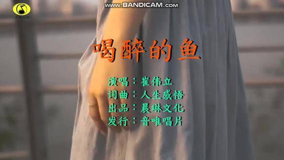 一首歌曲喝醉的鱼忧伤的旋律听着心碎