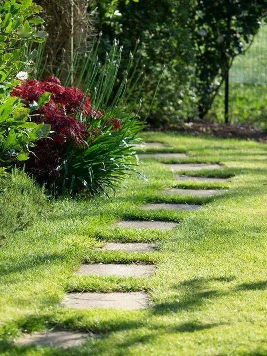 花园汀步杂乱与韵律的交融之美