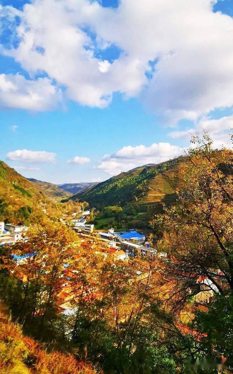 礼县白关镇秋日景色层林尽染五彩斑斓