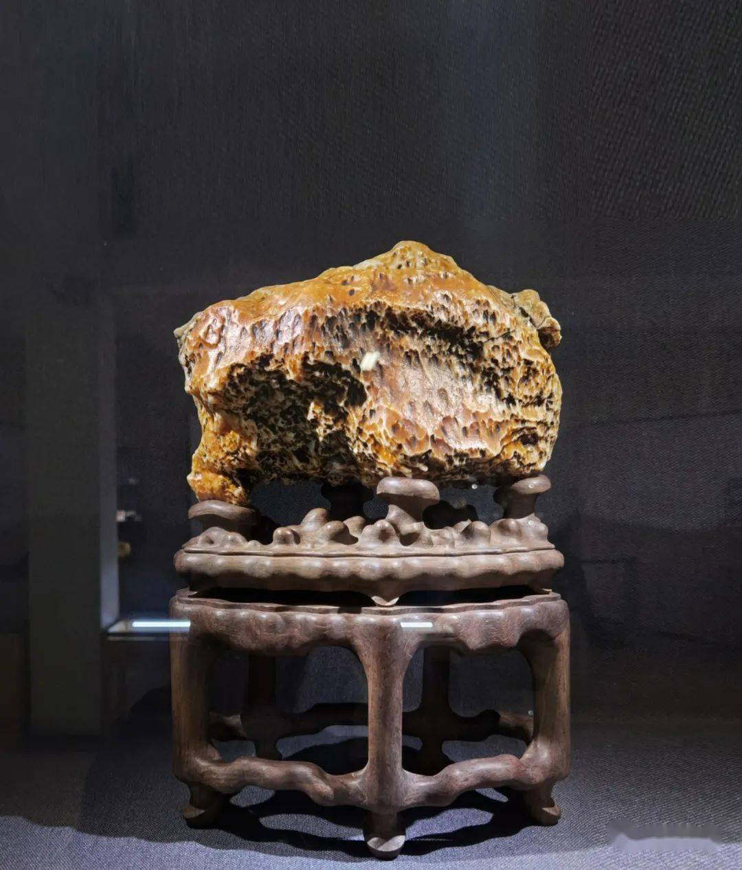 中国赏石艺术双年展盛大启幕获奖作品权威发布