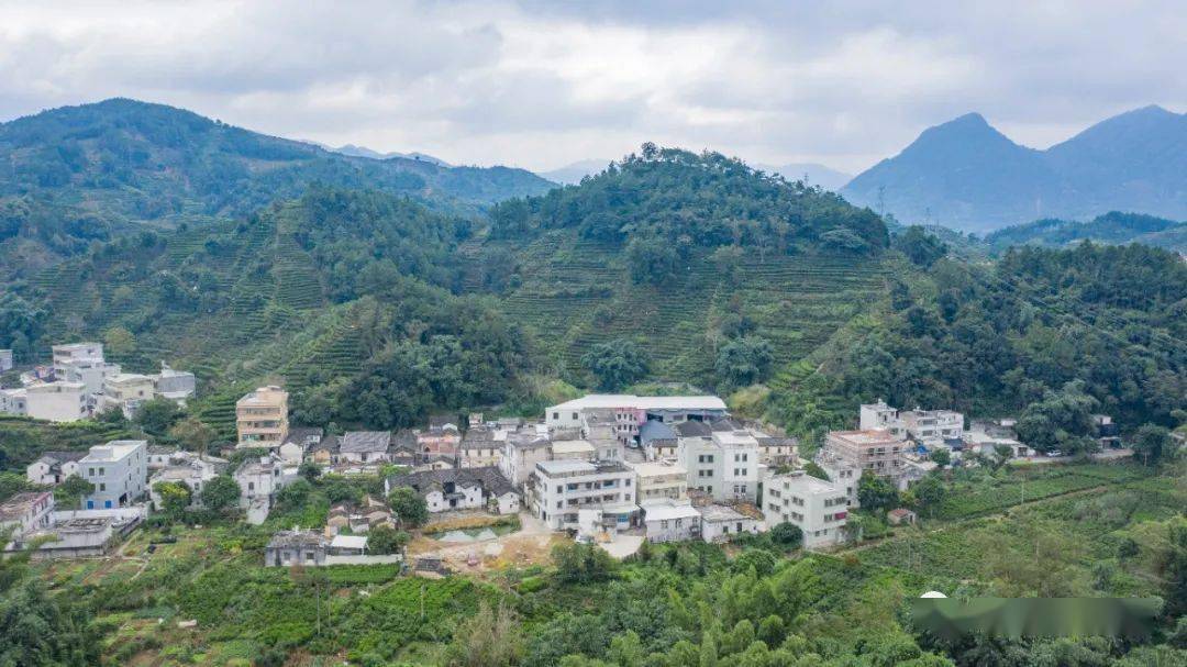 坂头村,曾设有"凤凰山埠巡检司"_饶平县