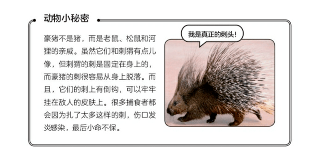 赠书102个漫画小故事全是受人喜爱的动物们的小秘密