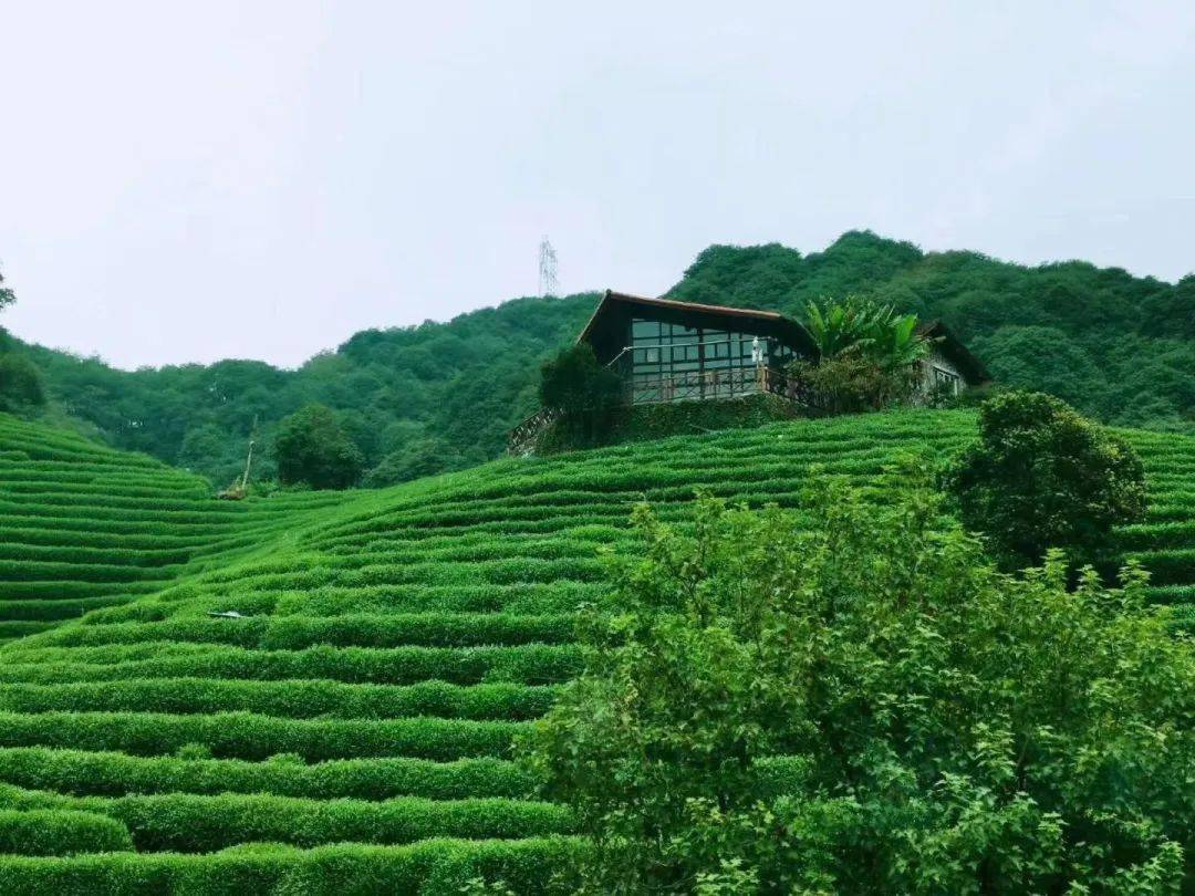 新型养老泰康之家大清谷即将开园