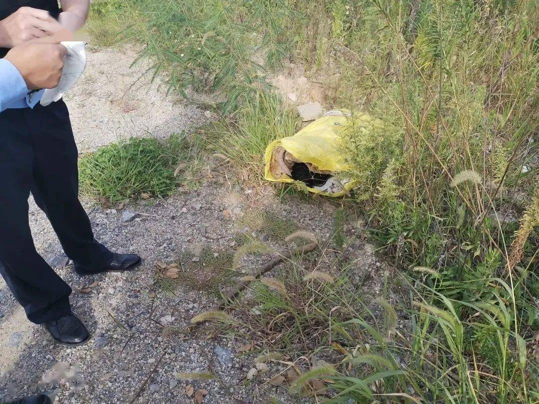 象山大目涂附近的湖边发现一具尸体民警赶到后傻眼了