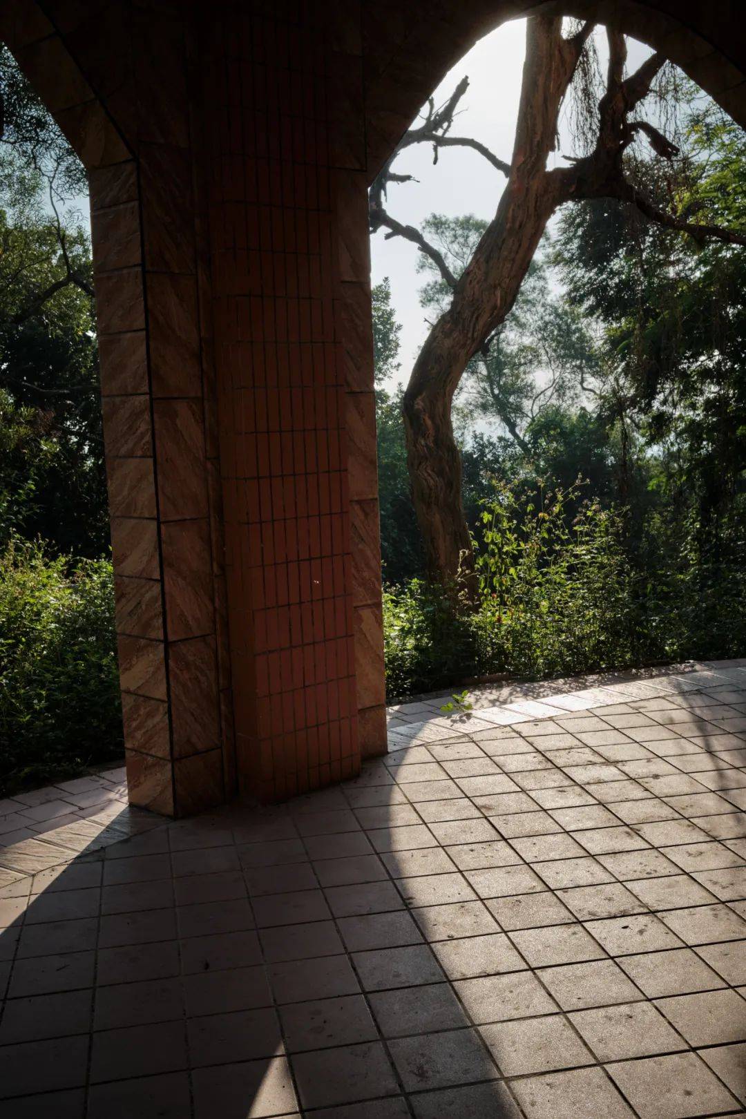 摄影|一路向南向西,新亨市场,罗山清晨街拍