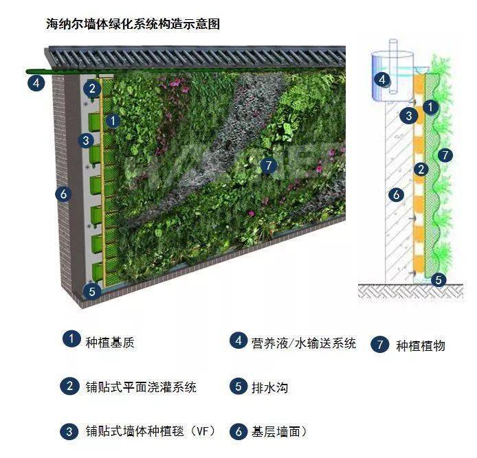 干货垂直绿化工艺类型分析