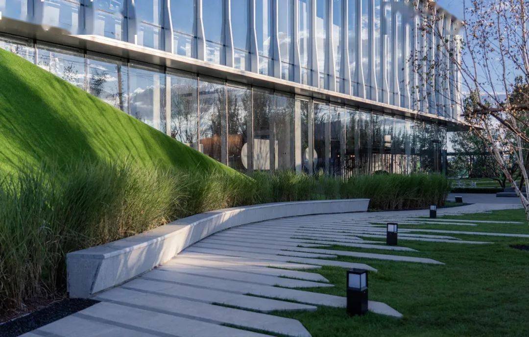 张家口中粮祥云国际小镇向上生长的自然力量