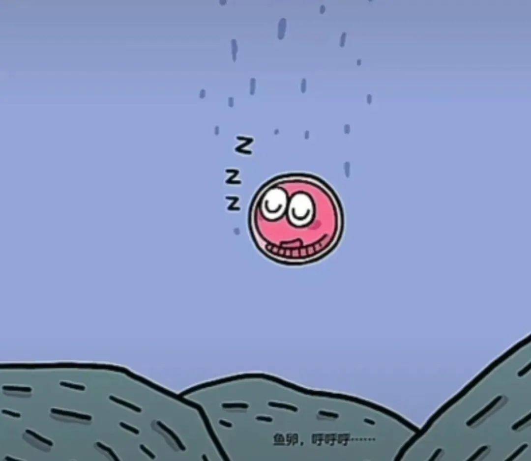 给小朋友的睡前故事丨睡睡镇