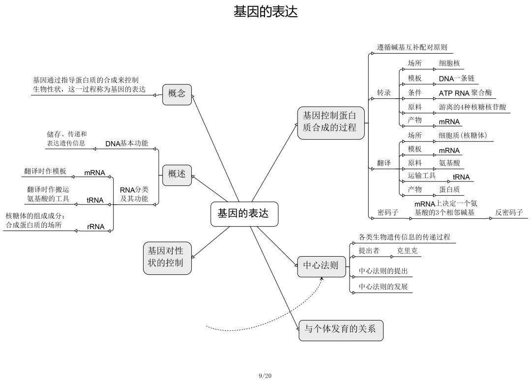 高中生物必修 選修思維導圖最全歸納