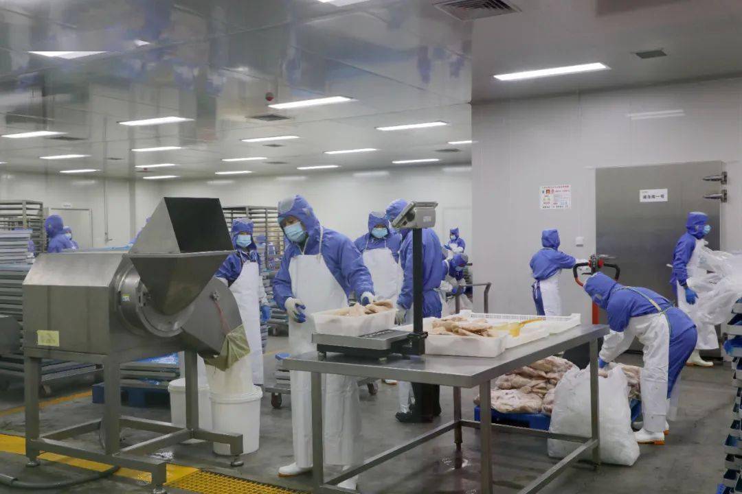 新区宠物食品产业再添生力军!