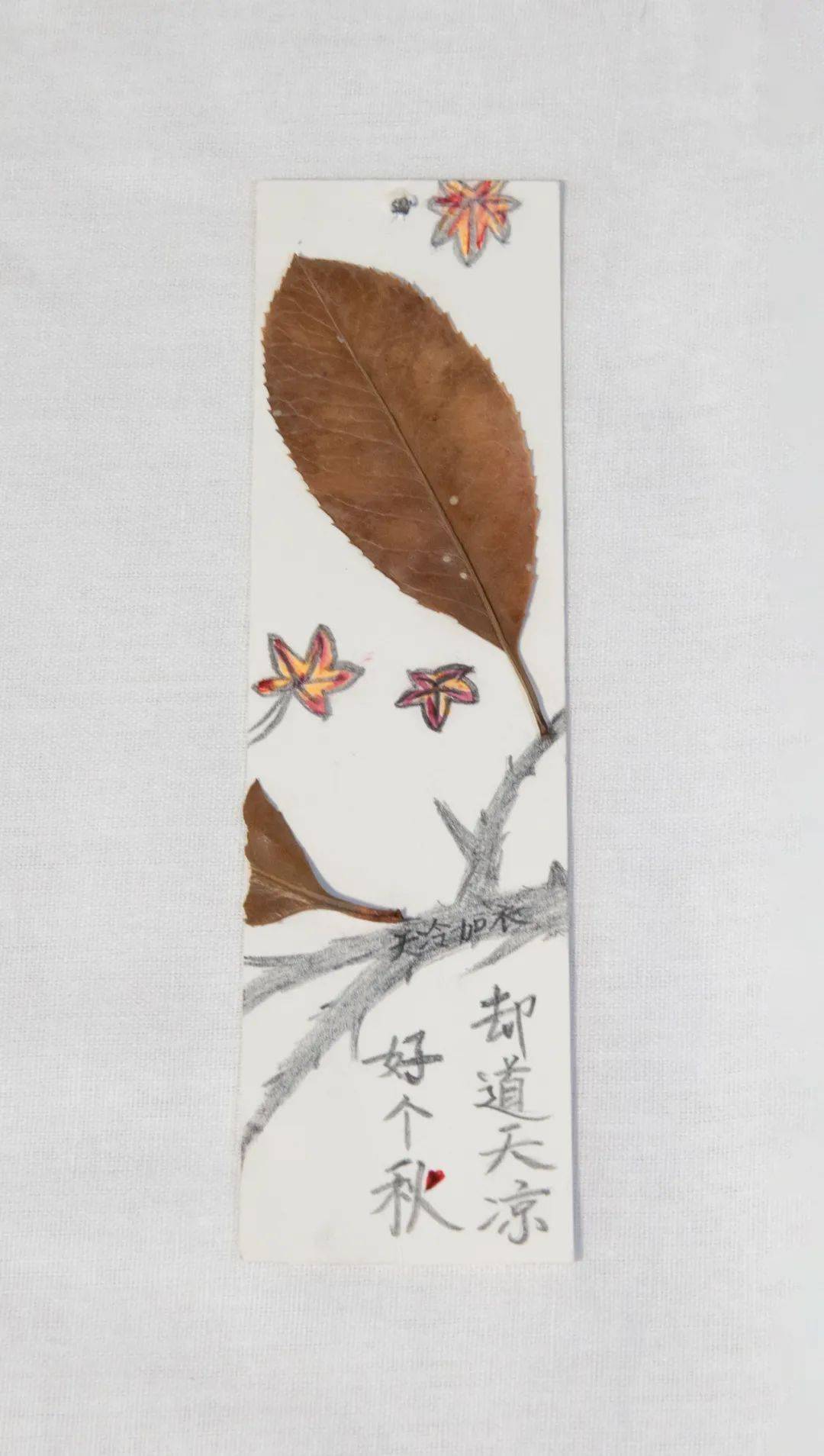 秋签创意书签设计大赛活动喊你来投票啦