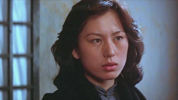 巡城马李萍是南方革命军的人袁世凯密谋称帝李萍要劫走宝箱