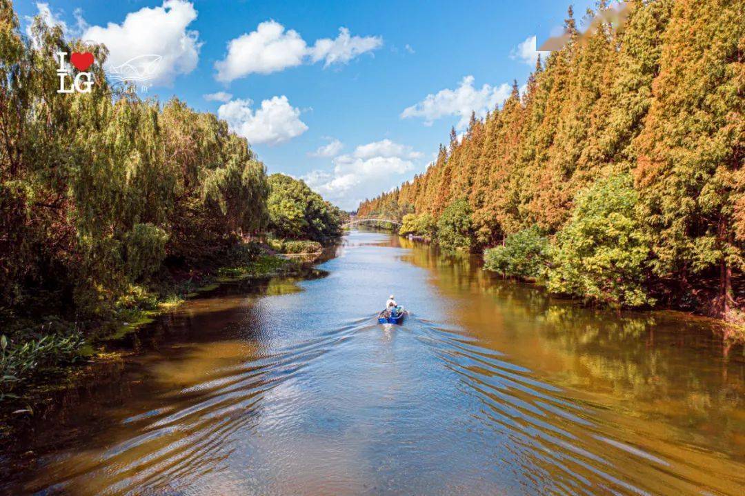 360带你鸟瞰塘下公路的醉美秋意