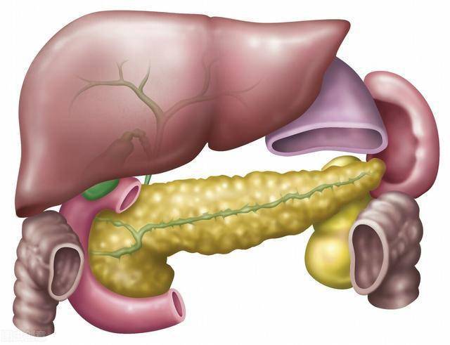 糖尿病只是胰腺的小問題胰腺癌胰腺炎才是致命的威脅