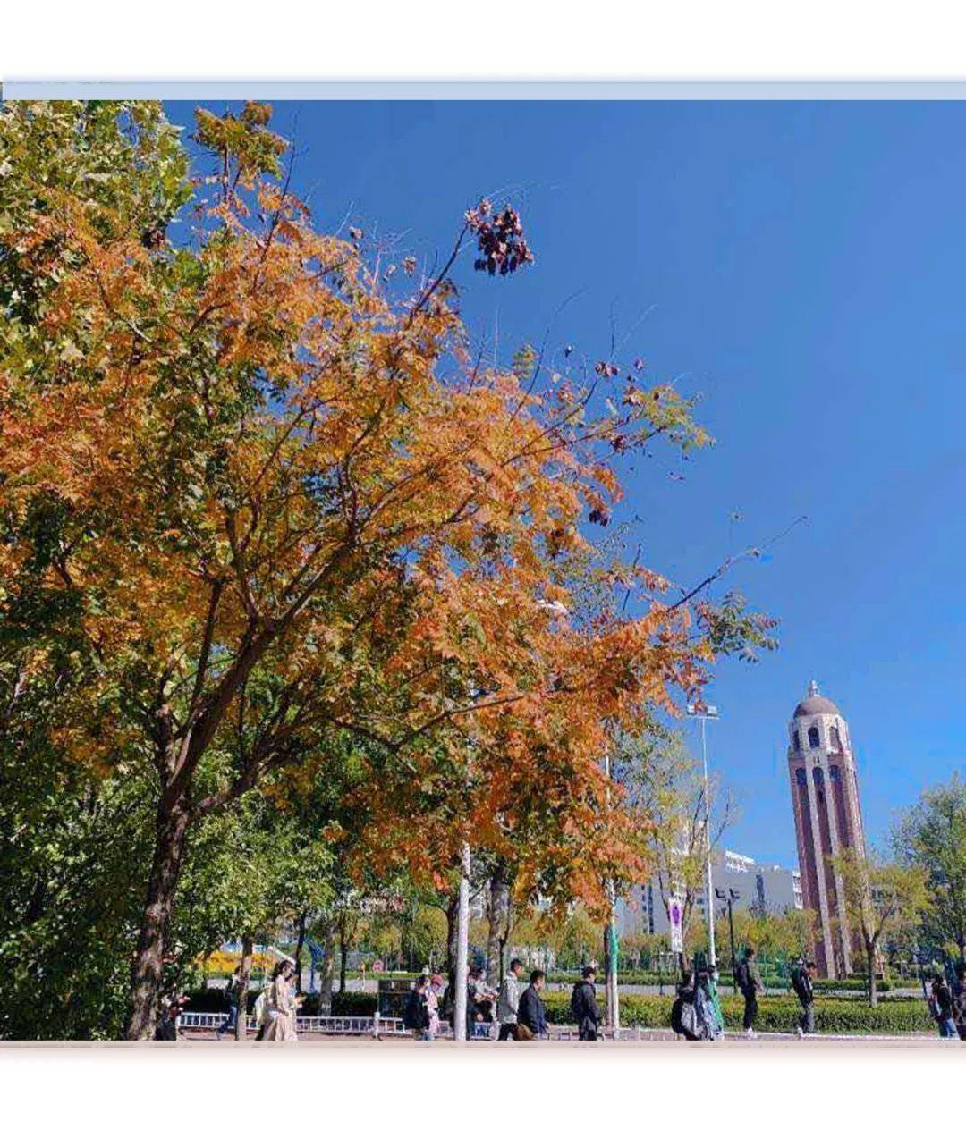 艺61聚焦天理十二时辰待君一一点亮