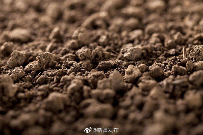 新疆农用地土壤环境总体优良