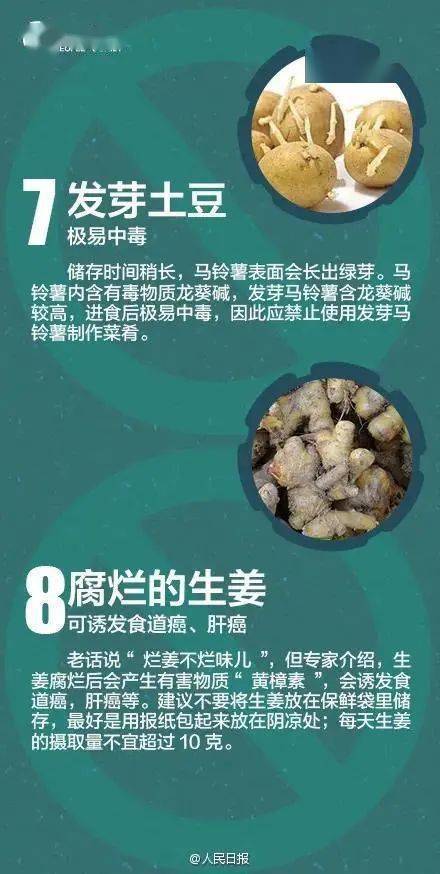 黑龙江酸汤子中毒事件的真正元凶竟然是它