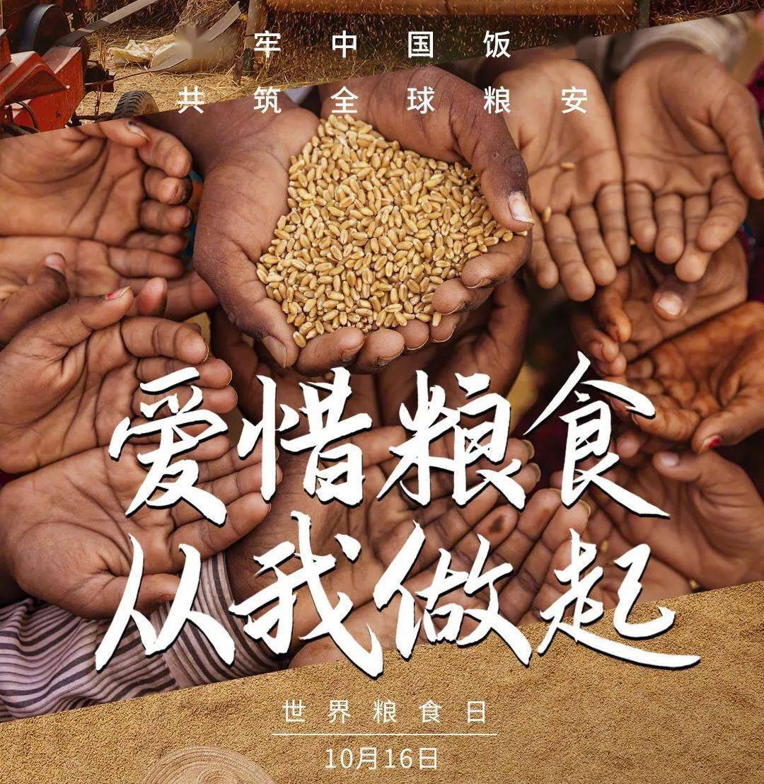 2014期世界粮食日拒绝舌尖上的浪费