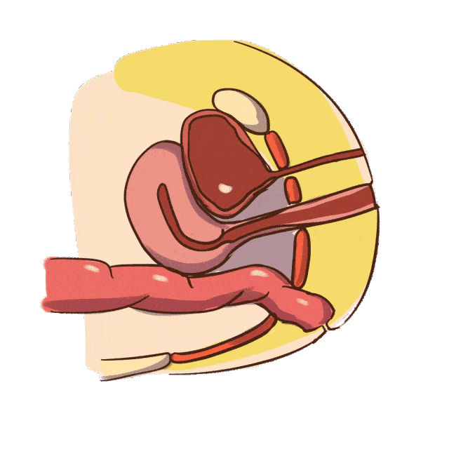 这12个盆底肌恢复小常识,宝妈们一定要知道!