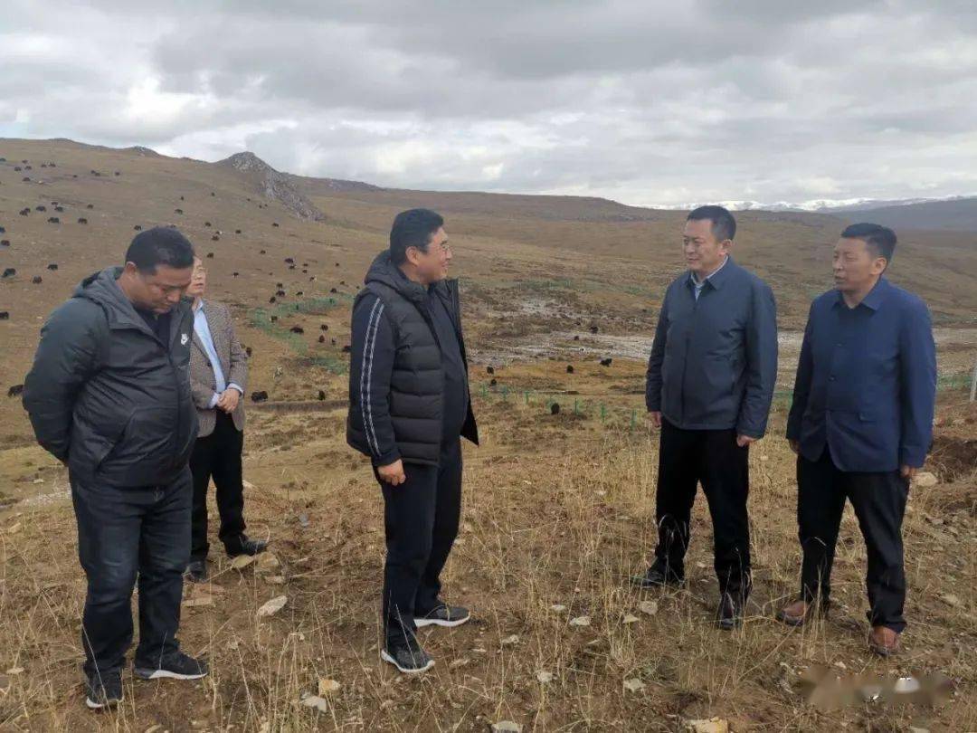 州交通局督查组督导碌曲县交通反馈问题整改情况