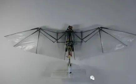 西北工业大学团队研发新型"信鸽"仿生飞行器,自主飞行超过48分钟