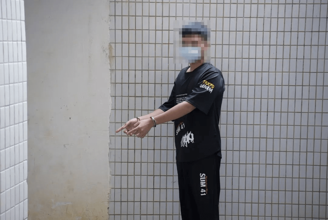 是由3名未成年人伙同作案,其中一名犯罪嫌疑人是同小区的罗某某(男,14