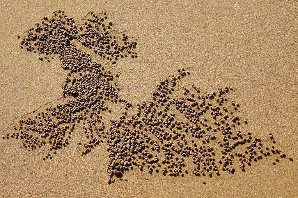 青岛小螃蟹滚沙球作沙画栩栩如生