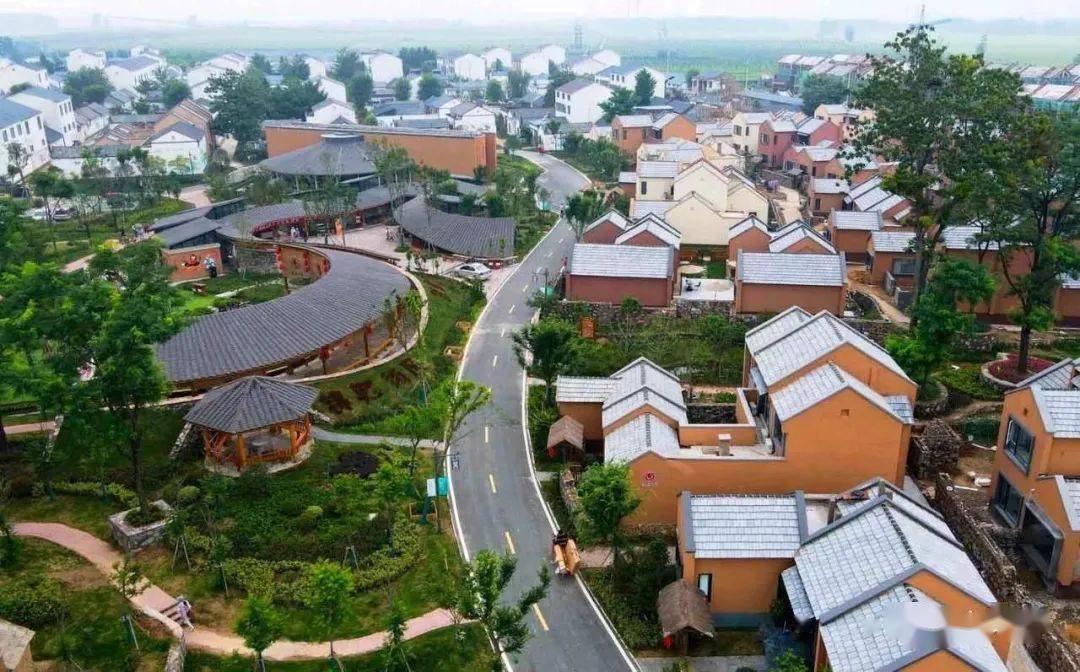 睢宁古黄河边这些独一无二的美景,找到了!