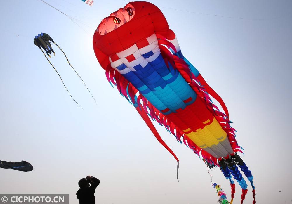 参赛选手在江苏省南通市如东县小洋口风筝放飞场放飞风筝.