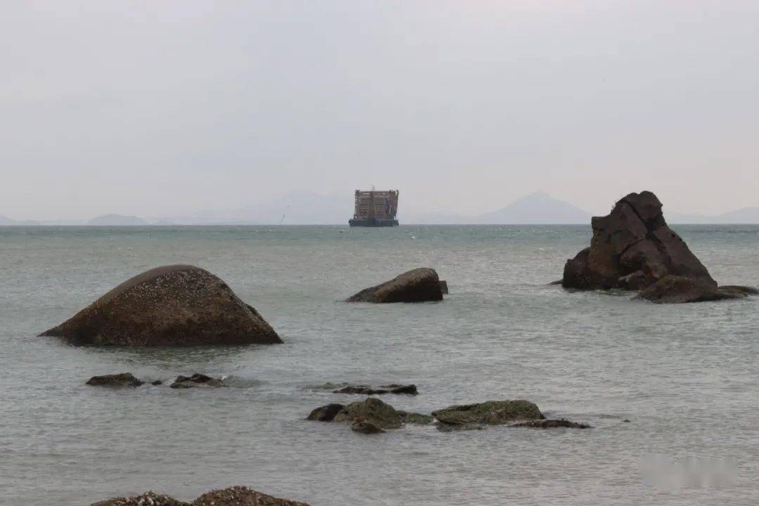《东海化石》海里深,滩边浅,虾蟹蚌龟有人捡;水涨隐,潮退显,条纹圈中
