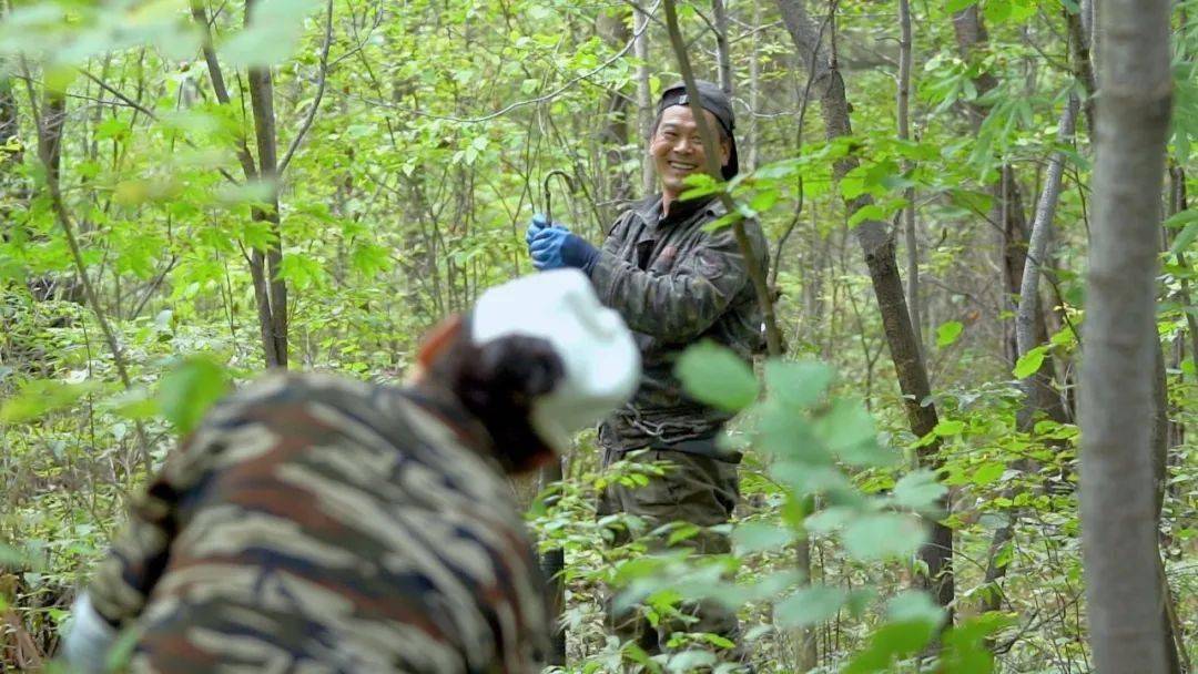 记录平凡 | 即将消失的跑山人_松塔