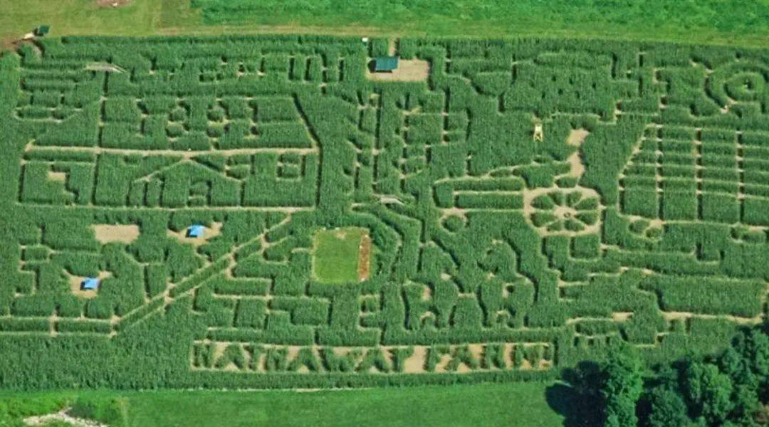 迷失玉米田15个玉米迷宫等你来通关