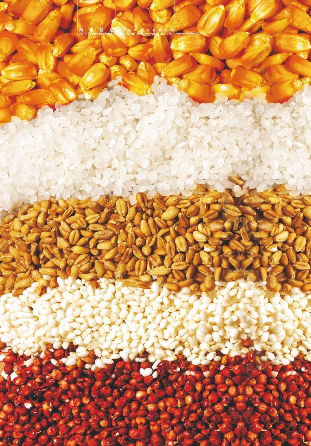 精选优质小麦,玉米,高粱,大米,糯米为原料,坚持传统固态泥池发酵之古