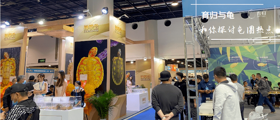 疫情这一年见闻有感2020年的上海龟谷展