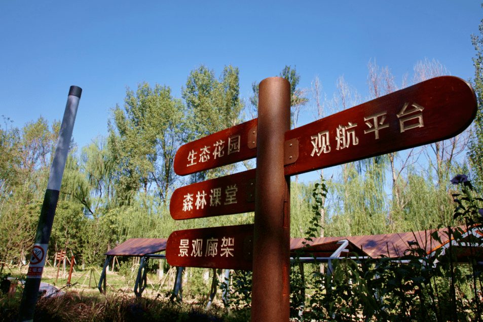 占地77亩,顺义又一城市森林公园将开放_生态