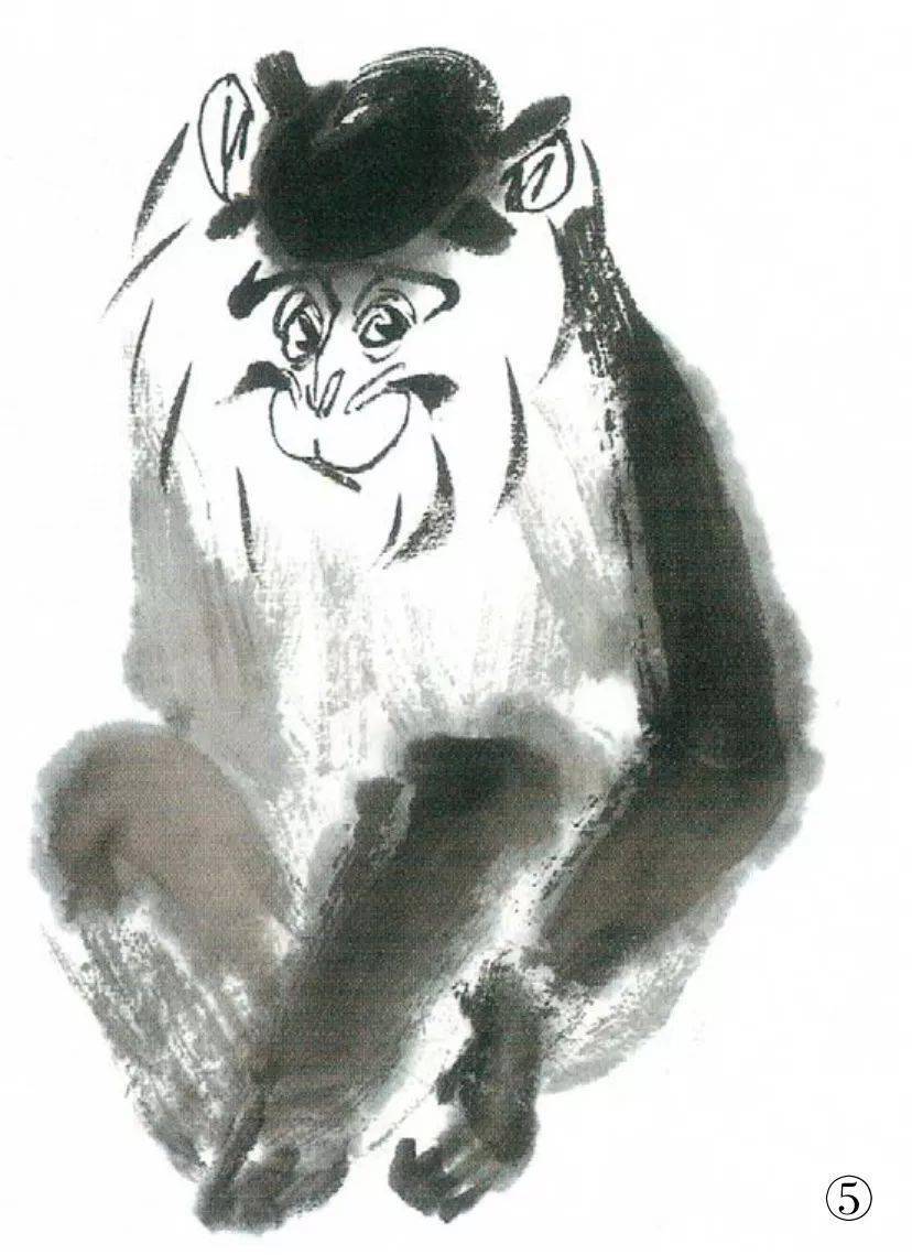 国画教程猴子的画法一学就会