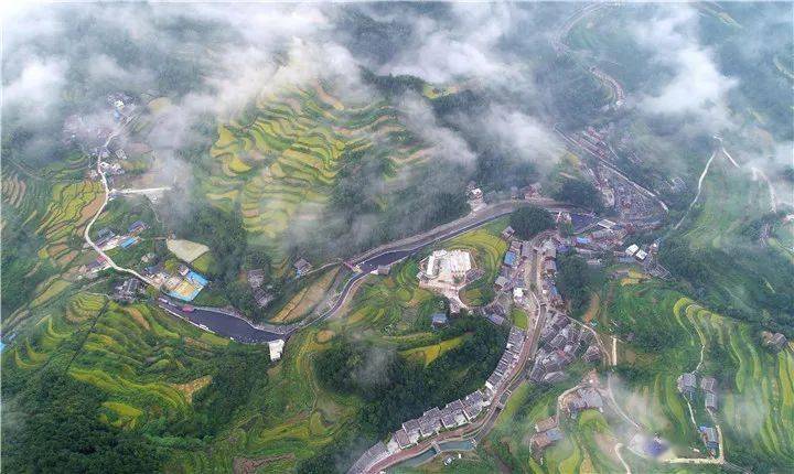 响水洞村:秫熟稻香农民乐 乡村旅游日子火