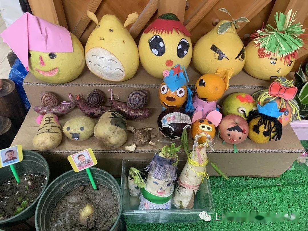 自然角里的大秘密古华幼儿园开展自然角交流评比活动