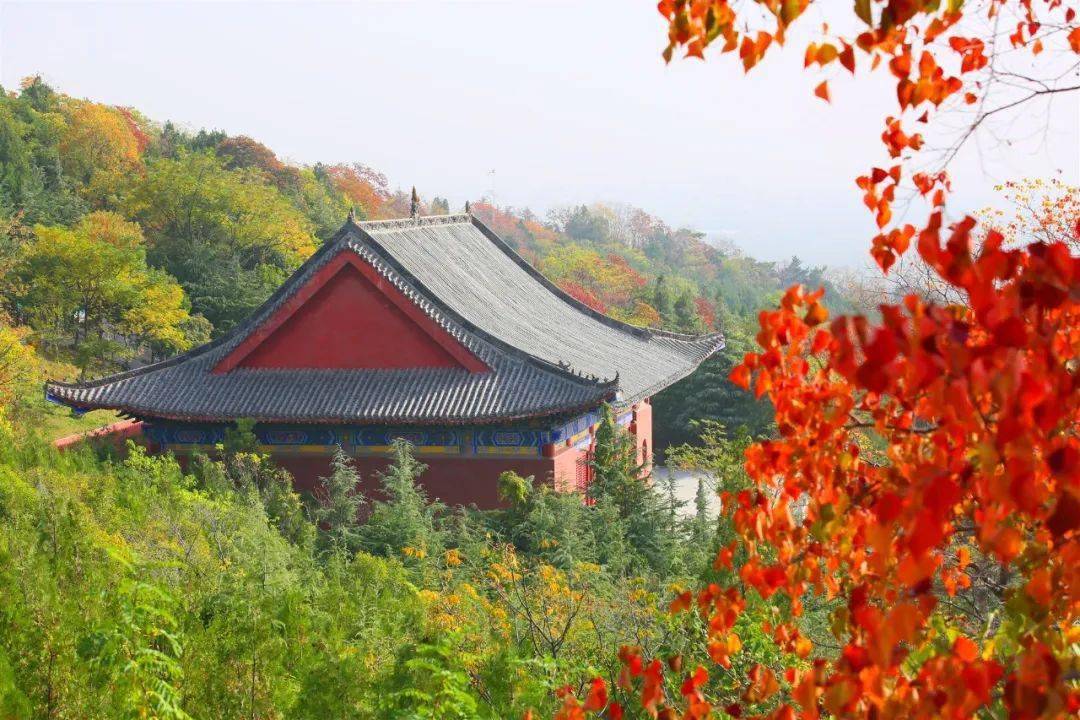 邳州紅葉已到爛漫時!_艾山