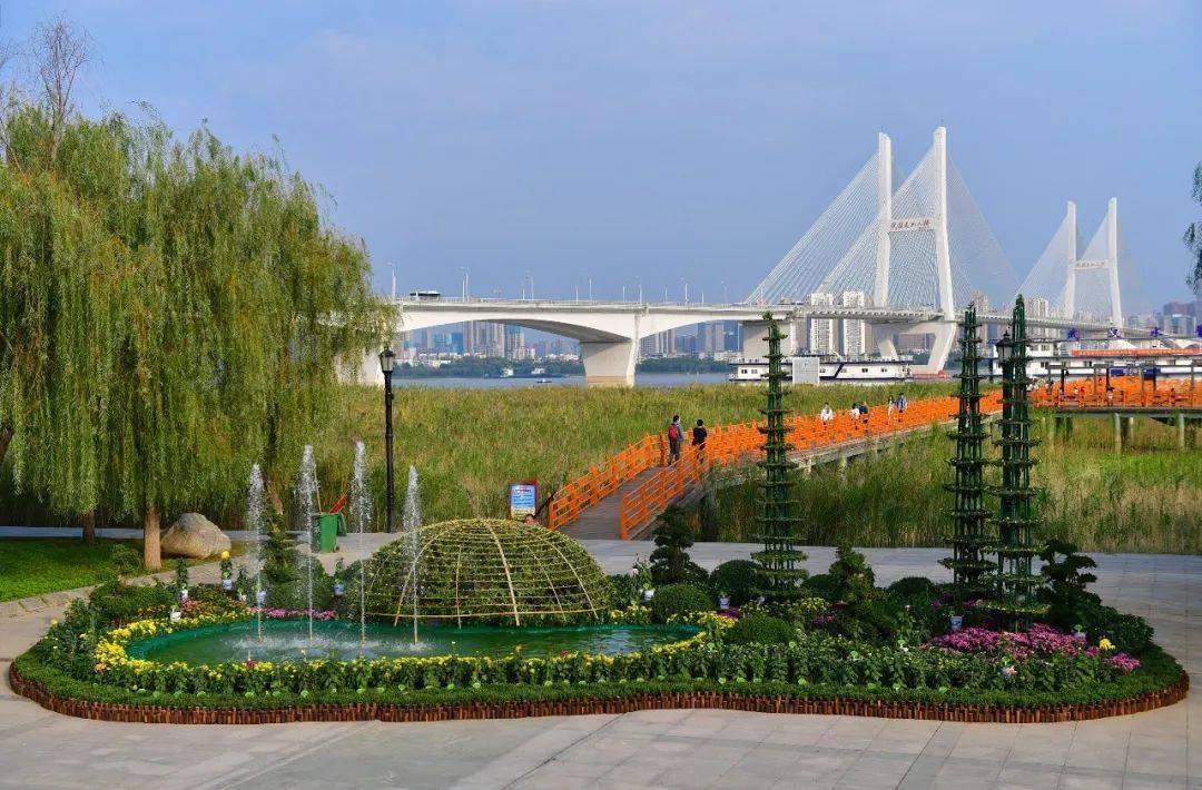 说好了谁也不爽约菊香满城待君赏