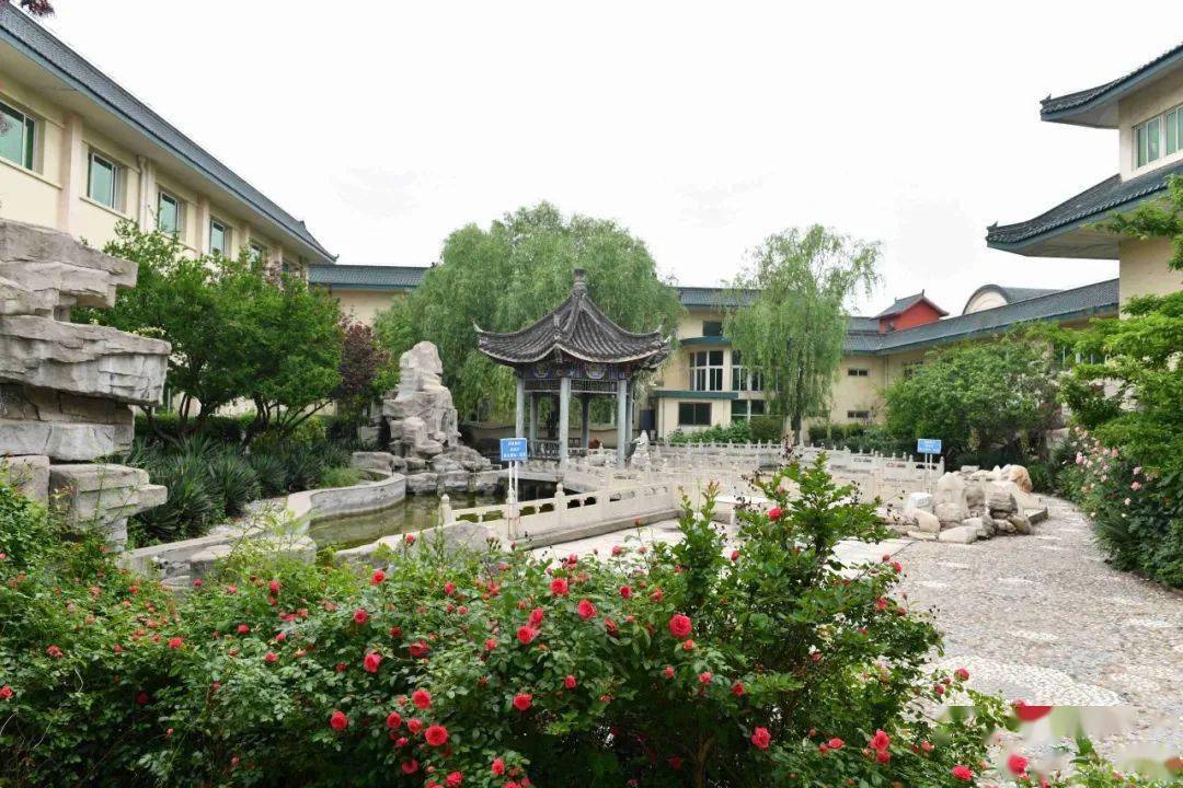 年会预定丨用心服务,专业品质尽在金星假日大酒店_正定