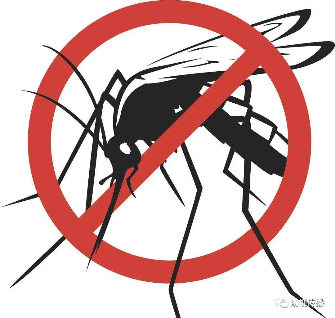 爱城如家 品质为你|多清积水勤保洁 入秋灭蚊不放松