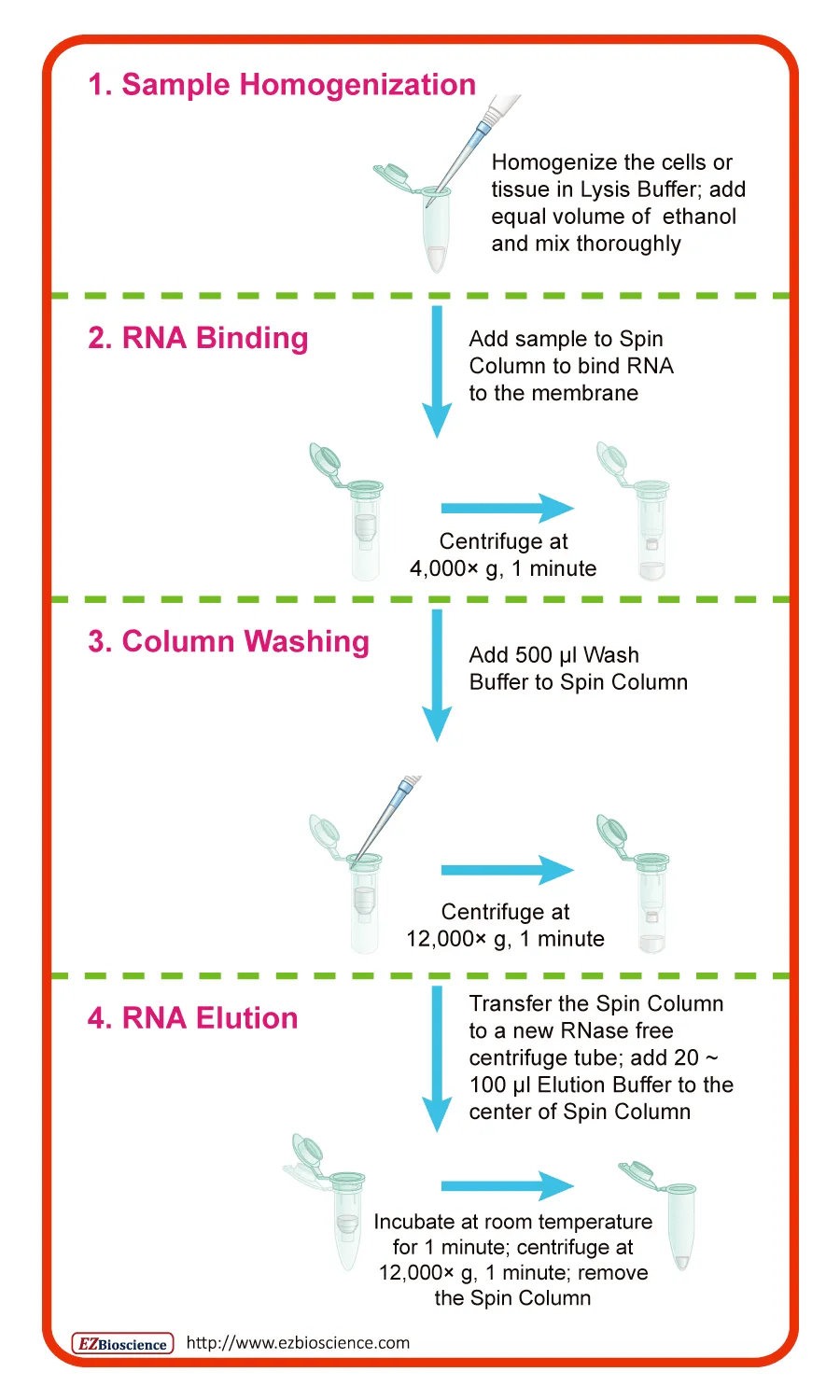 rna提取是玄学吧我忙碌大半天师兄只用了8分钟